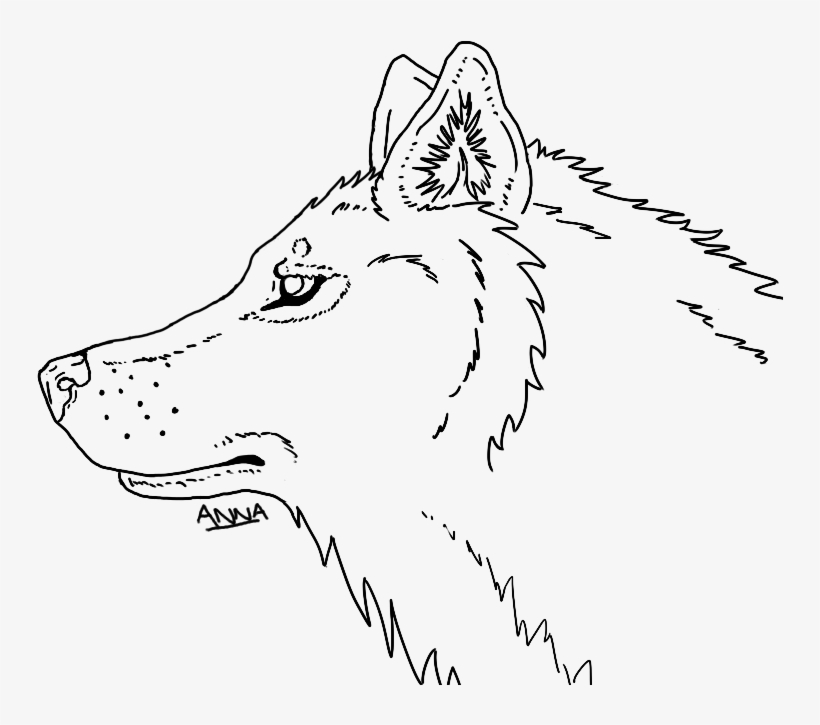 Wolf Head At Getdrawings - Line Drawing Wolf Head, transparent png #4777136