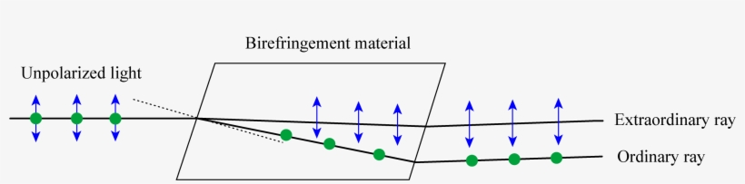 Ordinay Extraordinary Ray In Birefringence - Birefringence Ordinary Extraordinary, transparent png #4779820