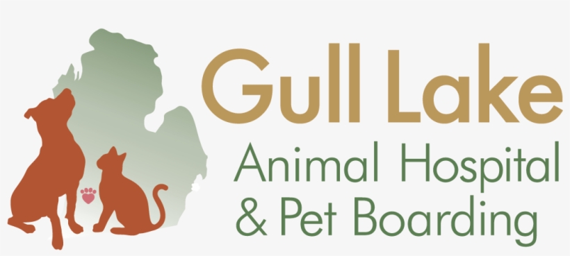 Veterinarians Richland Michigan - Plano Nacional De Leitura, transparent png #4780683