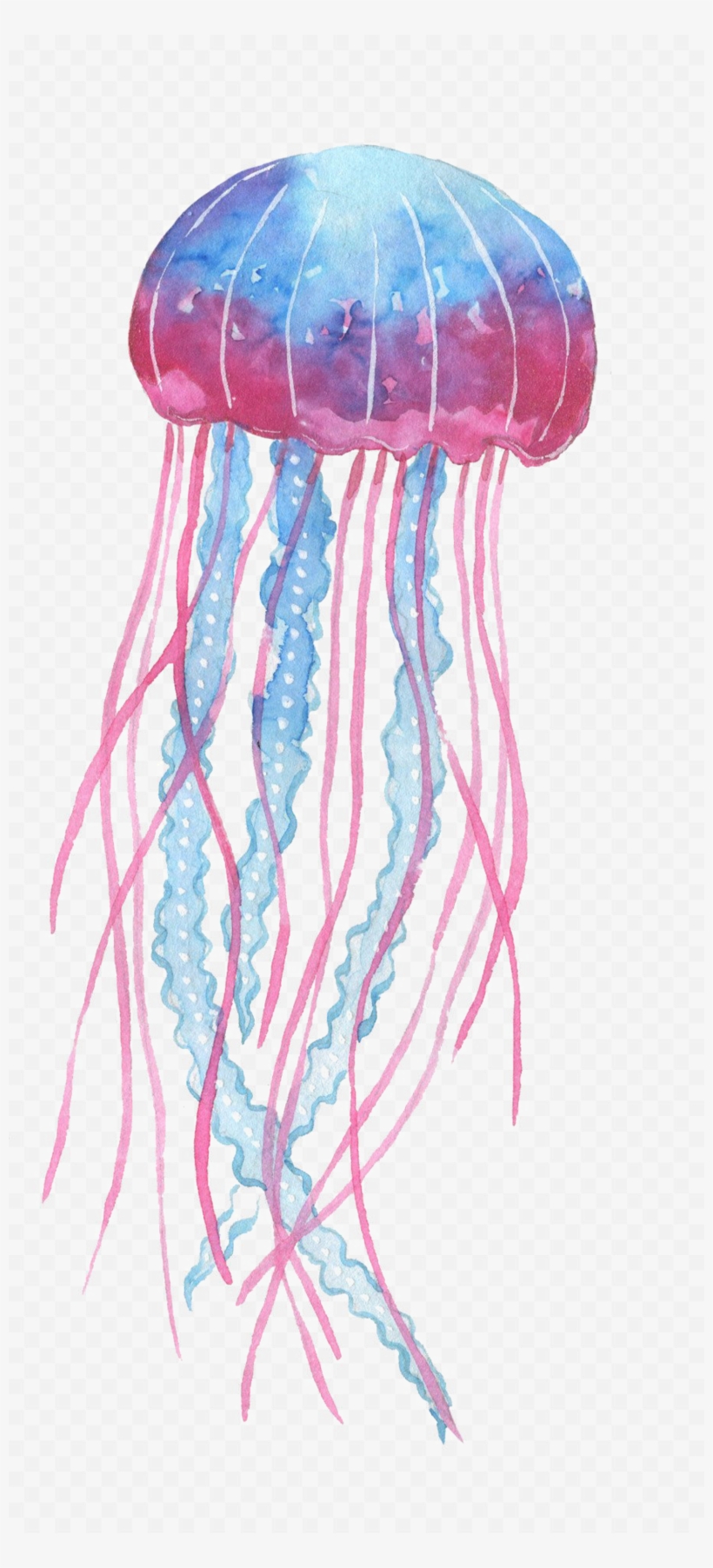Box Jellyfish Png Transparent Image - Jelly Fish Png, transparent png #4782186