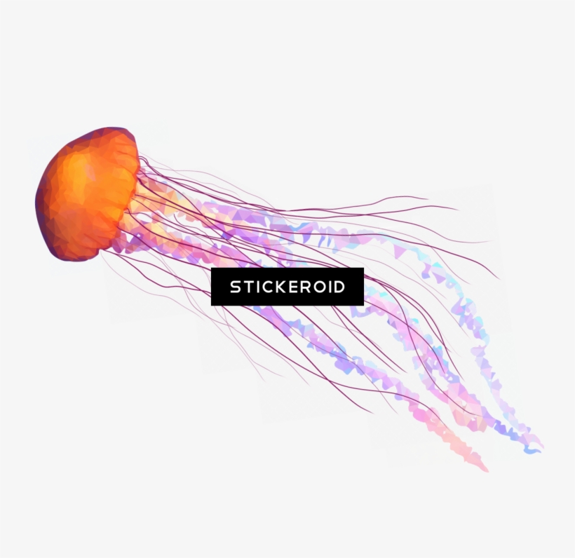 Jellyfish Animals - Jellyfish Tentacles Png, transparent png #4782532