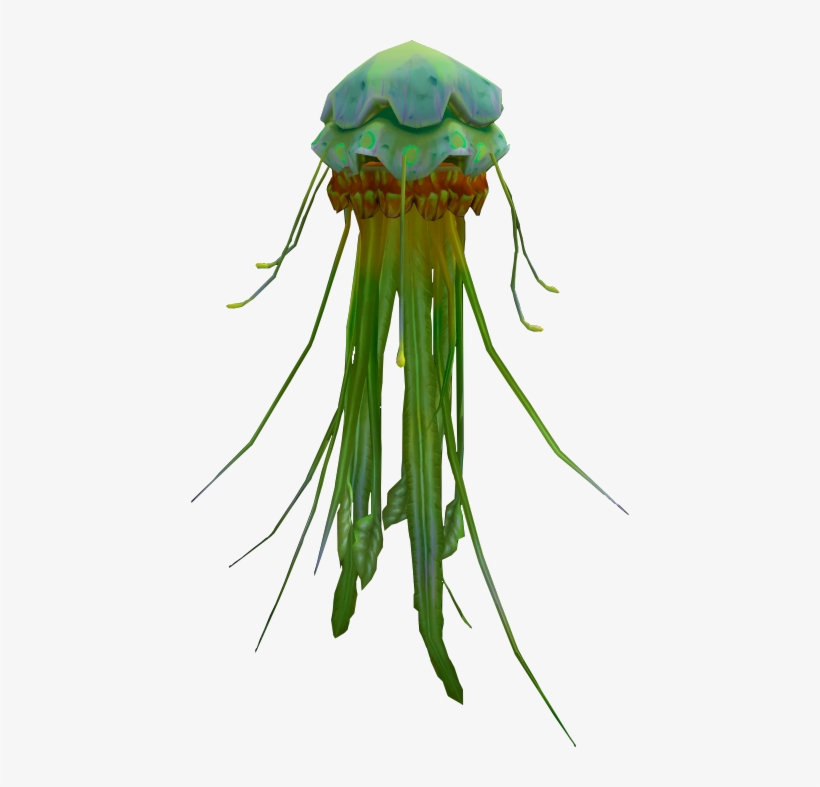 Jellyfish, transparent png #4782596
