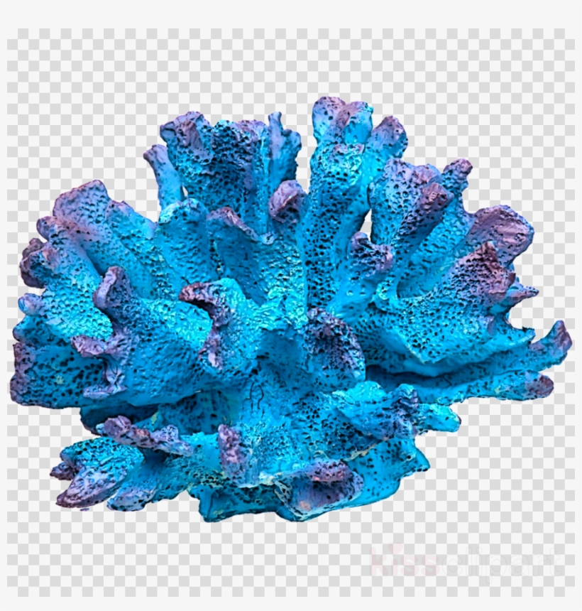 Coral Aquarium Clipart