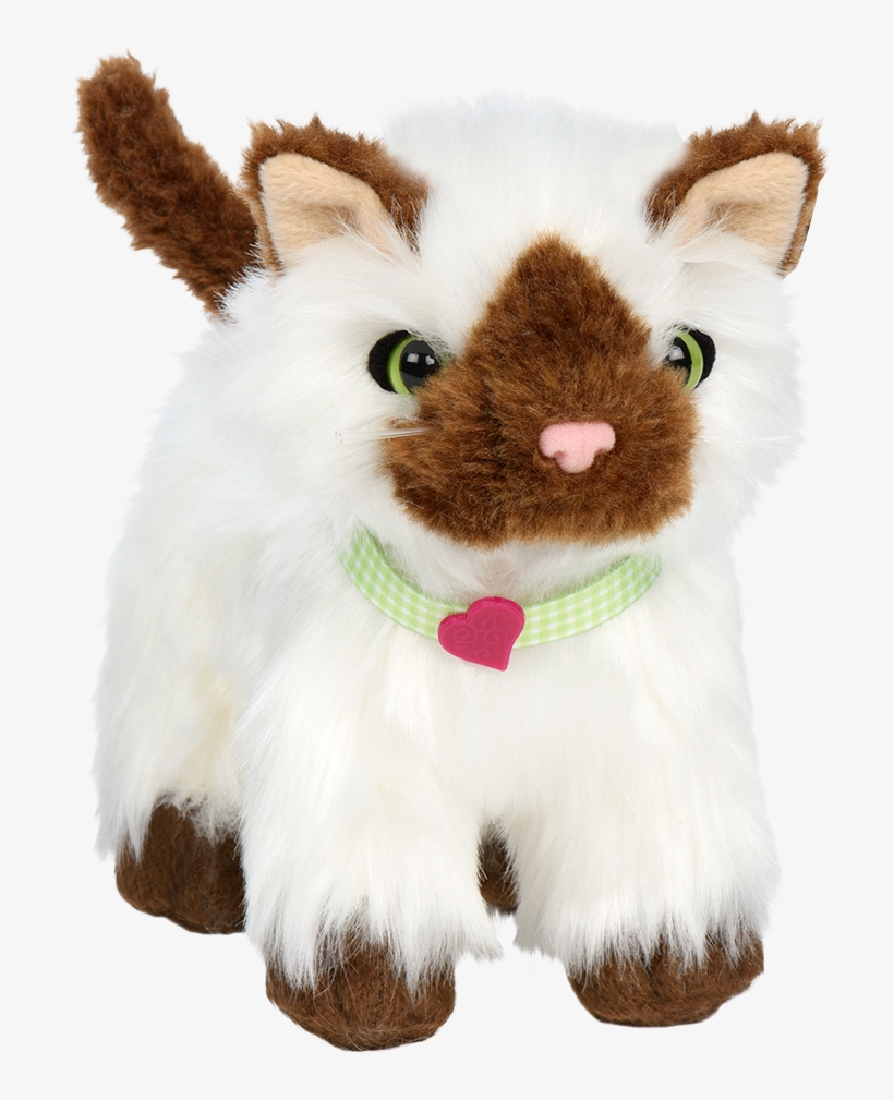 //s3 Ca Central - Stuffed Toy, transparent png #4784592