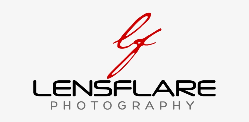 I'm A Commercial And Wedding Photographer Accepting - African Wild Dog, transparent png #4784902