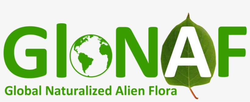 Black And White Earth, transparent png #4785319