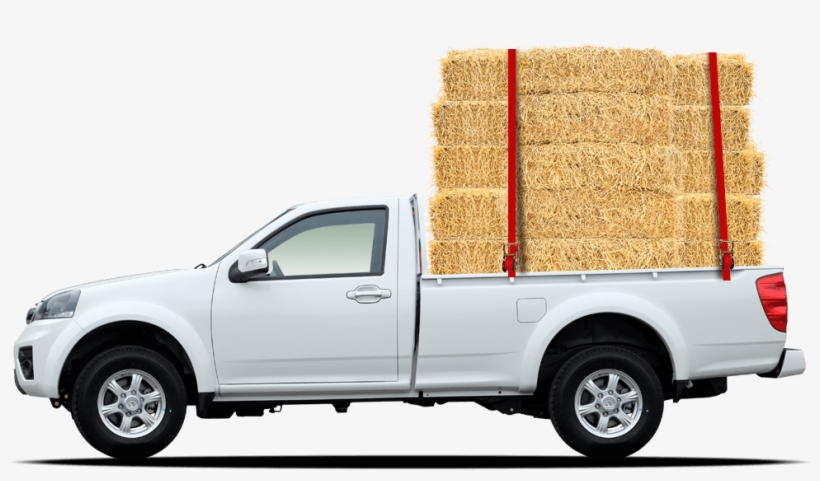 Steed-hay - South Carolina, transparent png #4785322