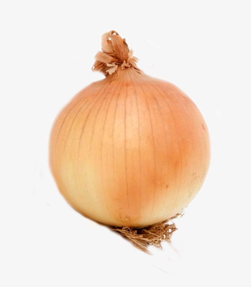 Onion, transparent png #4786217