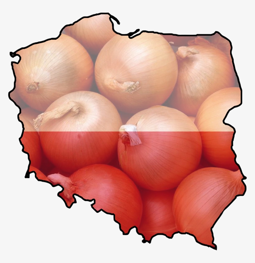 Post - Onion Red Creole Great Vegetable Seeds~organic~, Great, transparent png #4786278