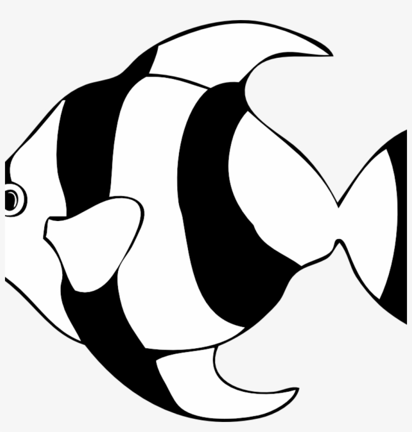 8 Images Of Fish Clipart Black And White Pineapple - Angel Fish Clipart Black And White, transparent png #4786361