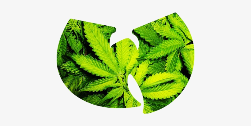 Must Not Sleep, Must Warn Others - Illustration, transparent png #4787649