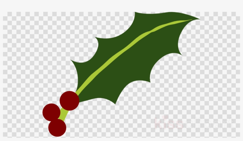 Download Holly Leaf Png Clipart Common Holly Yaupon - Holly Cartoon ...
