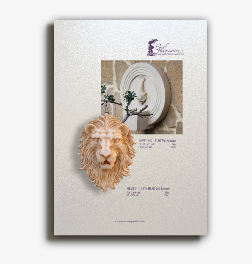 Lion Head - Lhasa Apso, transparent png #4789938