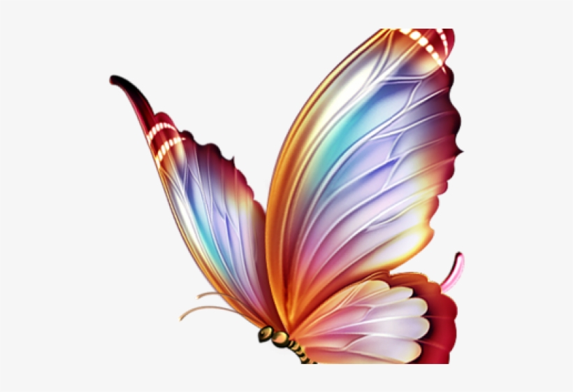 Butterfly Tattoo Designs Png Transparent Images - Colour Pencil Drawings Of Butterfly, transparent png #4791841