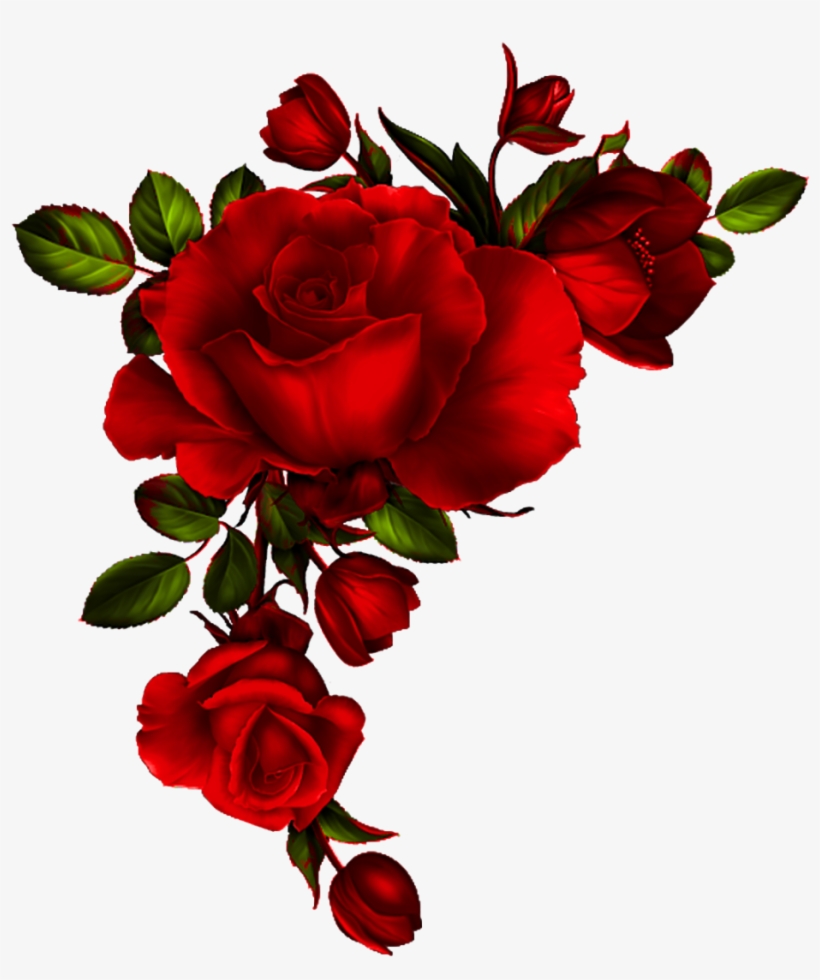 Roses 2 - Page - Red Roses Watercolor Png, transparent png #4793596
