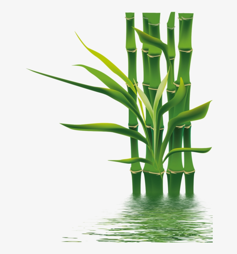 Bamboo Png, Download Png Image With Transparent Background, - Hình Vẽ Gấu Trúc, transparent png #4793984