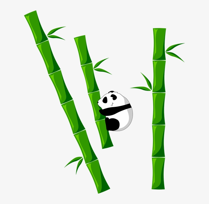 Bamboo Png - Bambu Png, transparent png #4794037