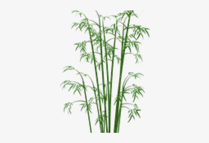 Bamboo Png Transparent Images - Bamboo Png, transparent png #4794297