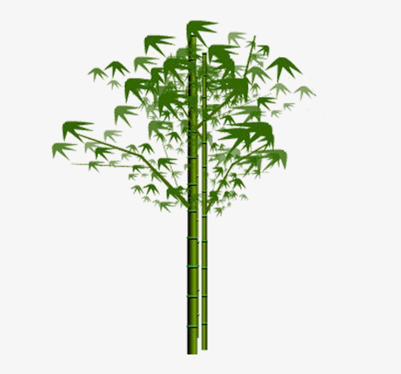 Bamboo Png, Download Png Image With Transparent Background, - Hinh Anh La Tre, transparent png #4794874