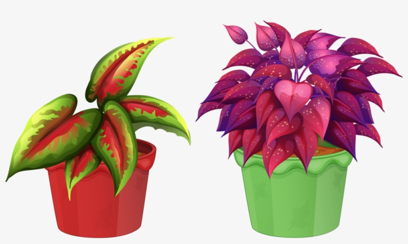 8 Garden Clipart, Flower Pots, Flowers, Views Album, - Flowering Plant And Non Flowering Plant, transparent png #4796136