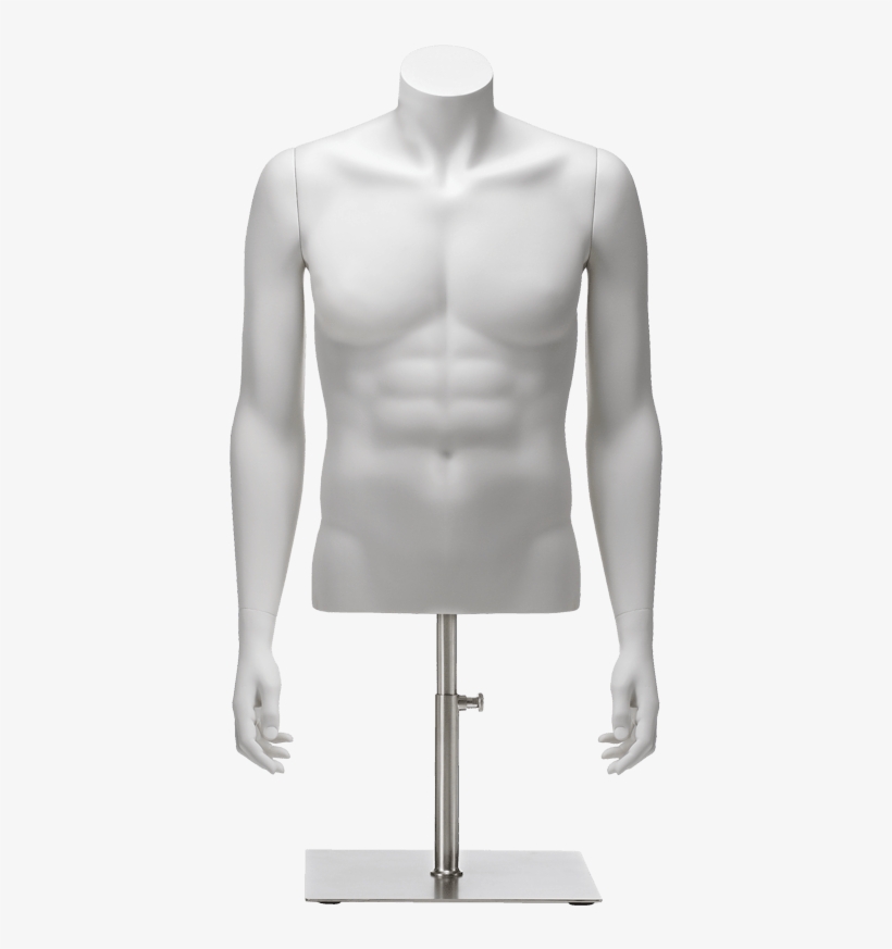 Clip In Torso Male A Arms - Male Bust Mannequin Png, transparent png #4796796