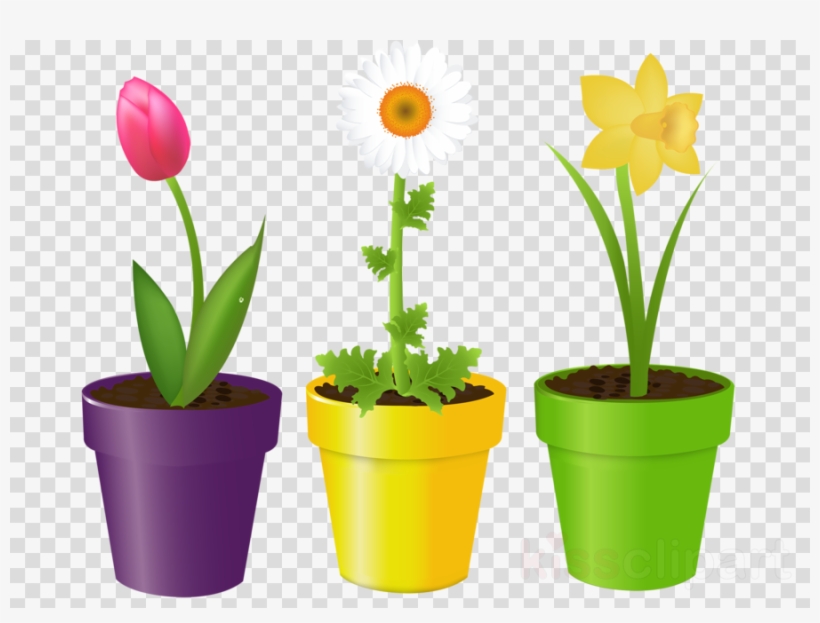 Download Flowers In A Pot Clipart Flowerpot Stock Photography - Flower In The Pot, transparent png #4796961