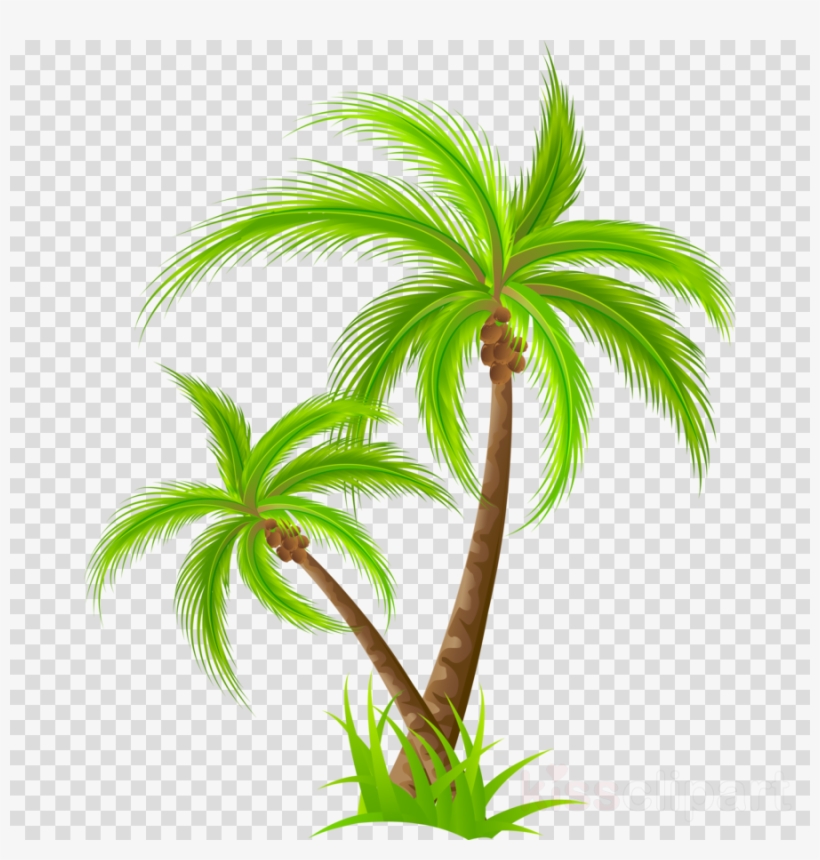 Download Palm Tree Png Clipart Palm Trees Clip Art - Kerala Meals Clipart, transparent png #4797471