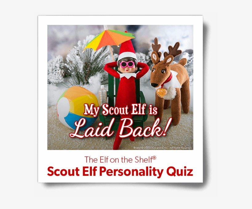 Laid Back - Equality And Diversity Poster, transparent png #4797842