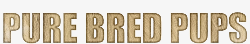 Purebred Pups - Parallel, transparent png #4798353