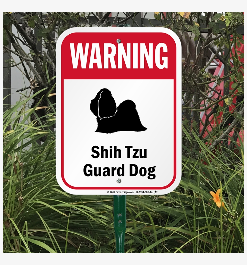 shih tzu guard dog