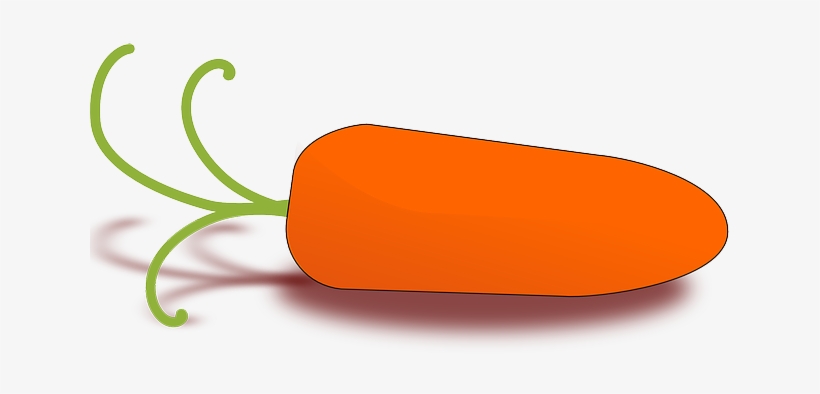Baby, Food, Drawing, Cartoon, Little, Plant, Carrot - Carrot Clip Art, transparent png #481224
