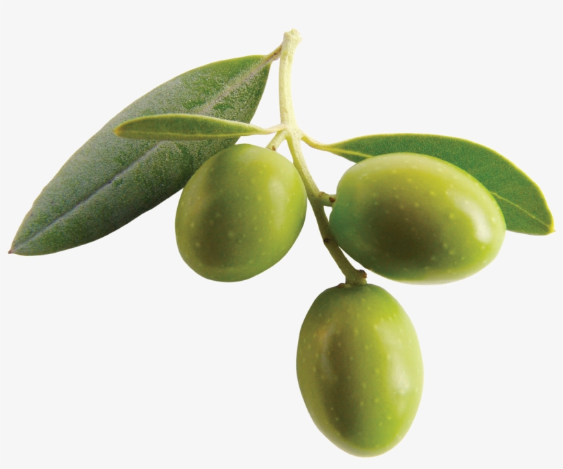 Olive Png Clipart - Olive Fruit, transparent png #481673
