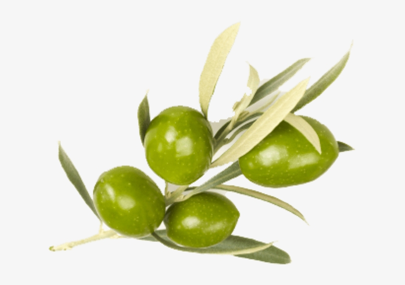 Free Png Olive Png Images Transparent - Sense Of Care Shea Butter Hand Cream Olive 40g/40ml, transparent png #481729