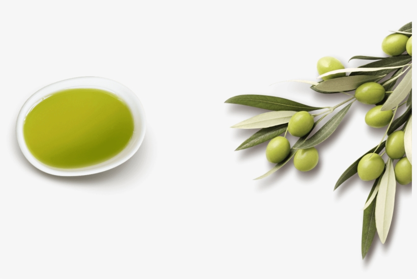 Our Olive Oil - Olive Oil, transparent png #481940