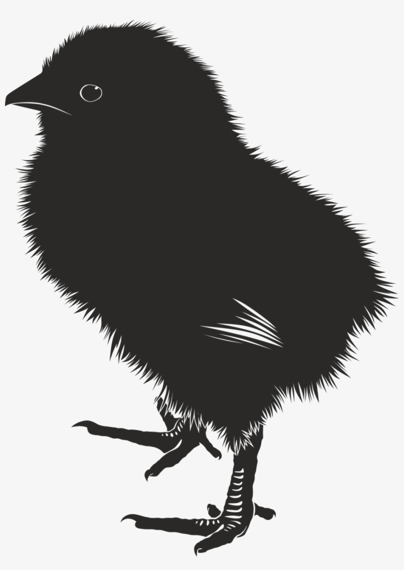 Vector Graphics,free Illustrations - Baby Chick Vector Art, transparent png #482399