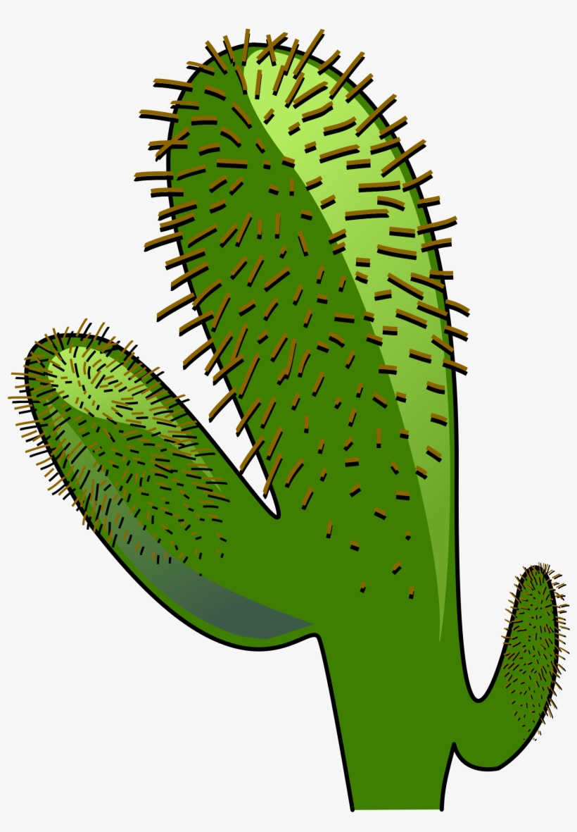 Open - Cay Xuong Rong Vector, transparent png #482448