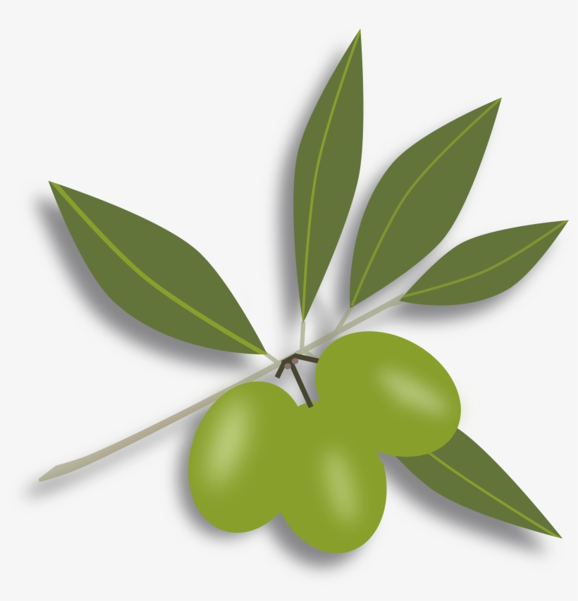 Olive Clipart Green Olive - Olives Clipart Png, transparent png #482503