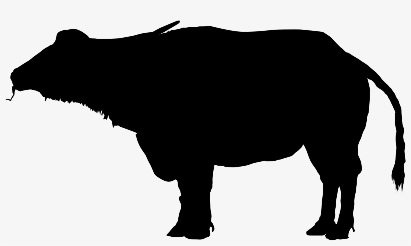 Water Buffalo Clipart Silhouette - African Water Buffalo Silhouette, transparent png #482504