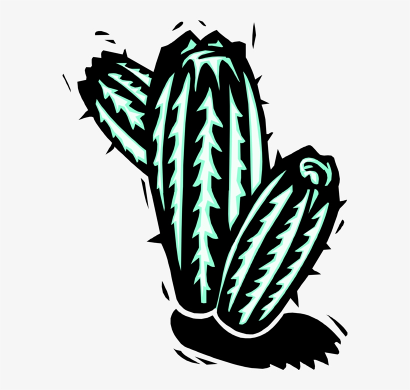 Vector Illustration Of Desert Vegetation Succulent - Xilogravuras Png, transparent png #482702