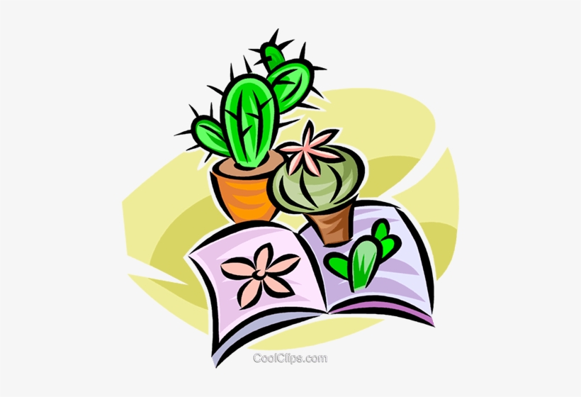 Cactus, transparent png #483175