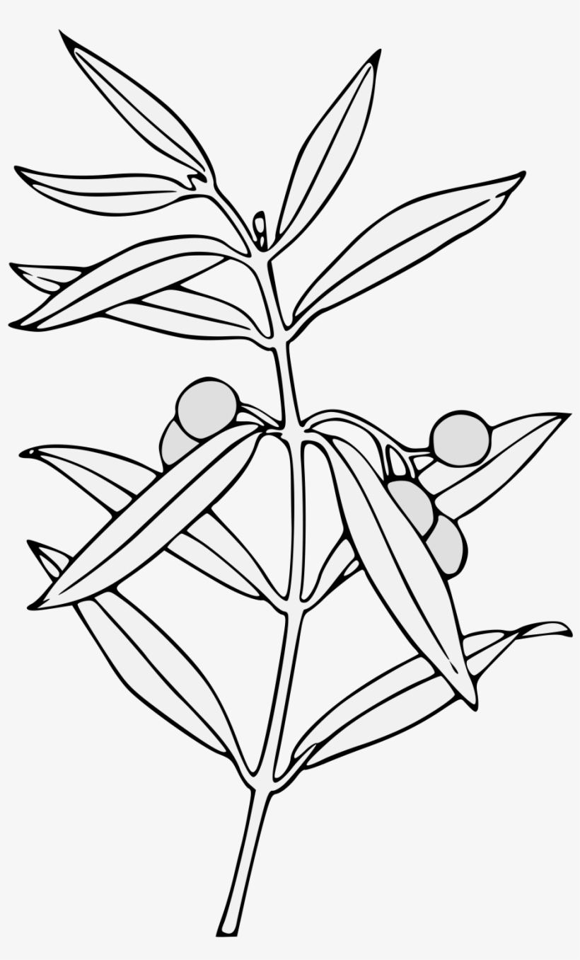 Details, Png - Line Art, transparent png #483400