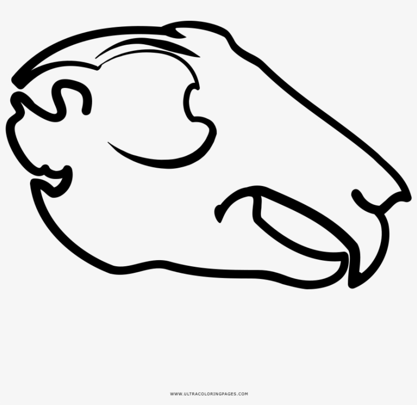 Animal Skull Coloring Page - Drawing, transparent png #483732