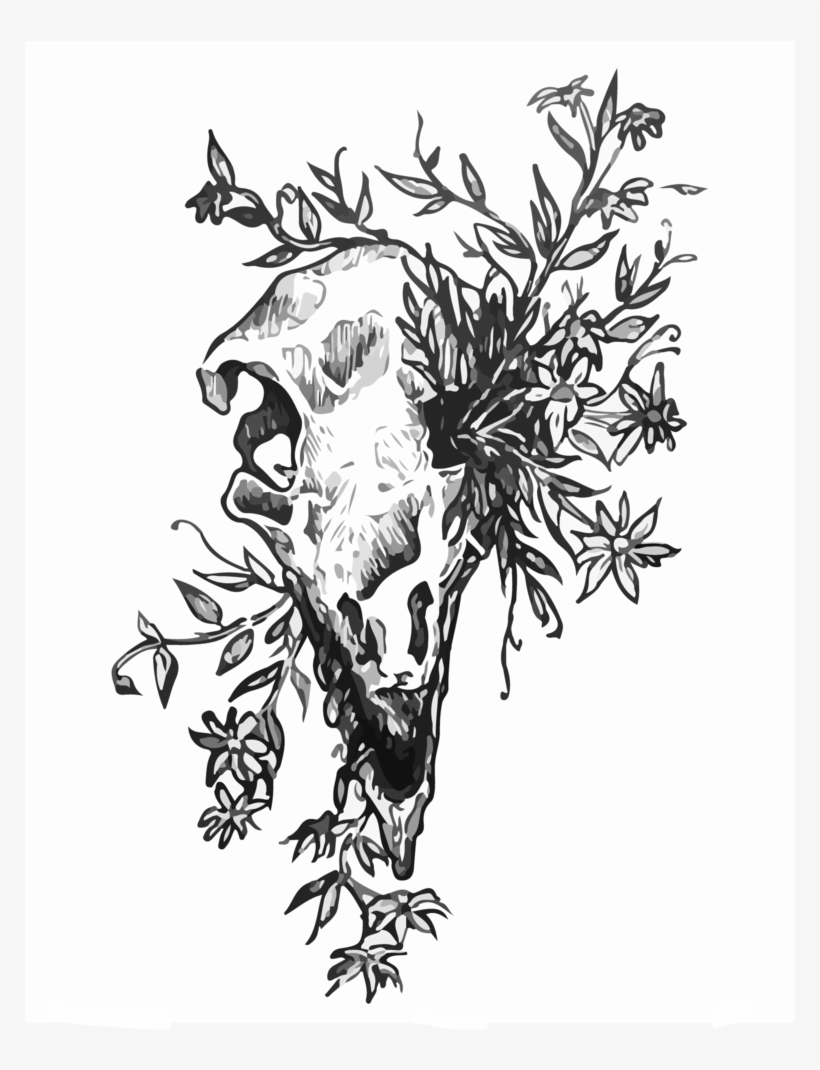 Raptor Skull, transparent png #483880