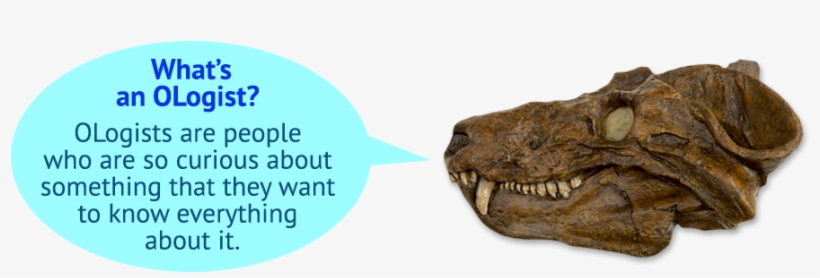 What's An Ologist Ologists Are People Who Are So Curious - Science, transparent png #483961