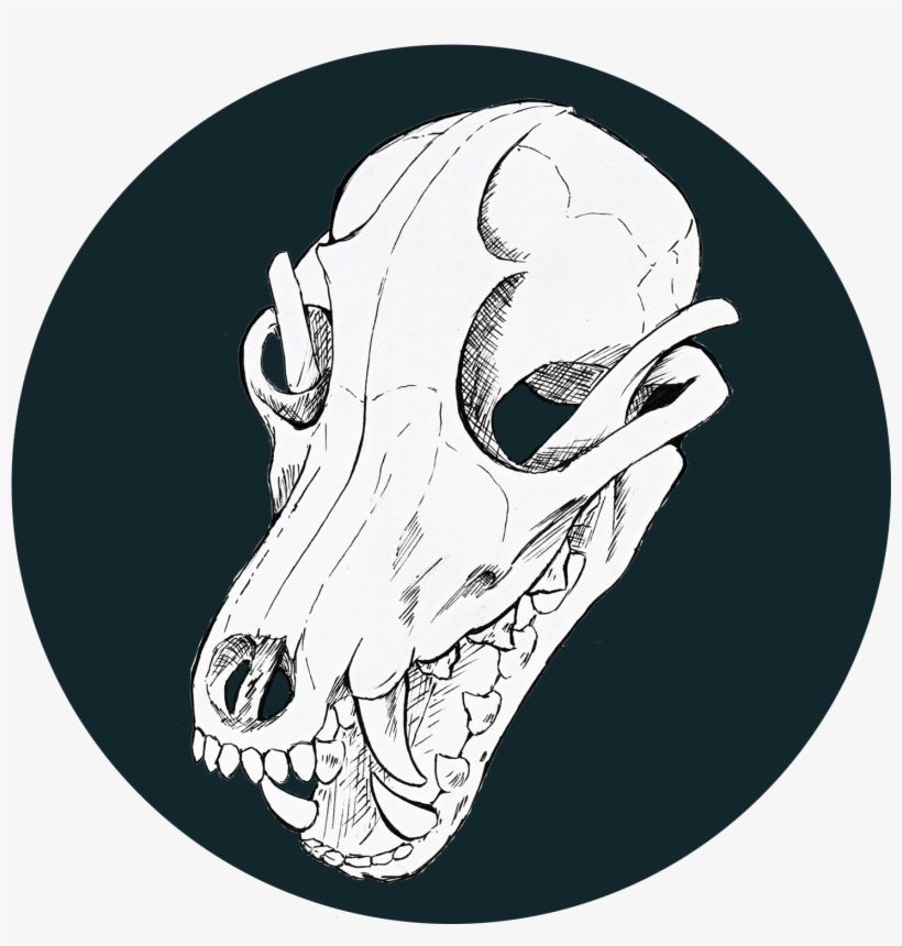 Giving Up Is Easy What If Sans Had An Animal Skull - Portrait Of A Man, transparent png #484345