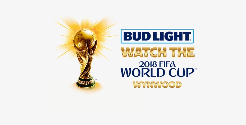 Fifa World Cup 2010, transparent png #484489