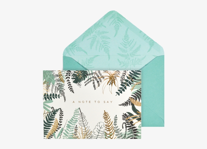 The Notecard Collection Ferns - Sada 10 Komplimentek S Obálkami Portico Designs Foil, transparent png #484558