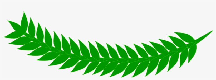 Fern Clipart Daun - .net, transparent png #484712