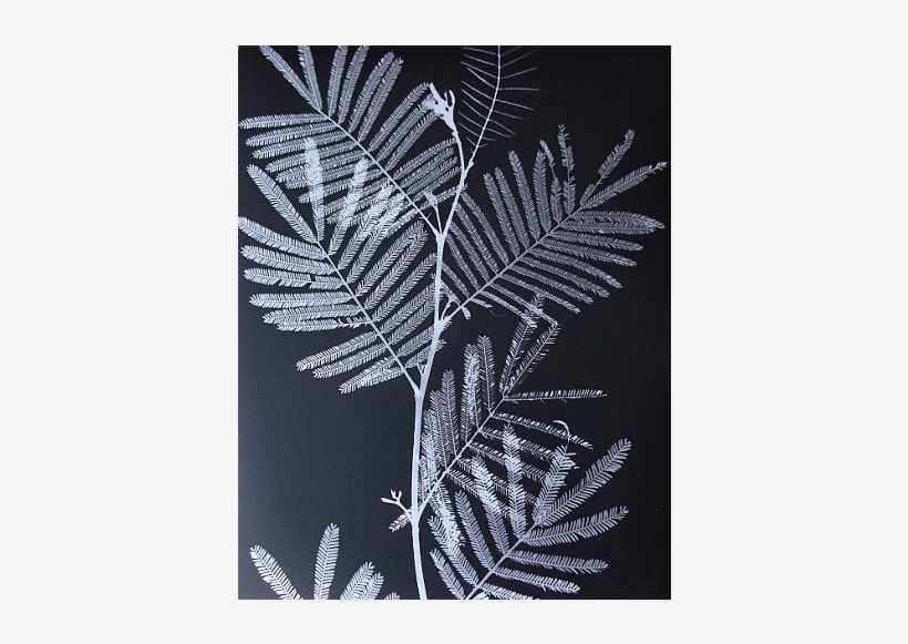 I - Fern, transparent png #484734