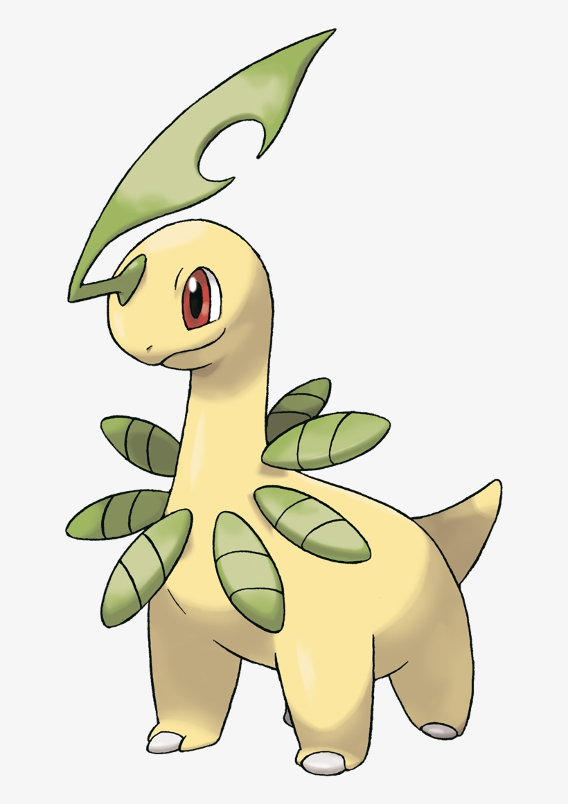 Bayleef Grass Type Pokemon, I Choose You, Pokemon Pictures, - Bayleef Pokemon Evolution, transparent png #484736